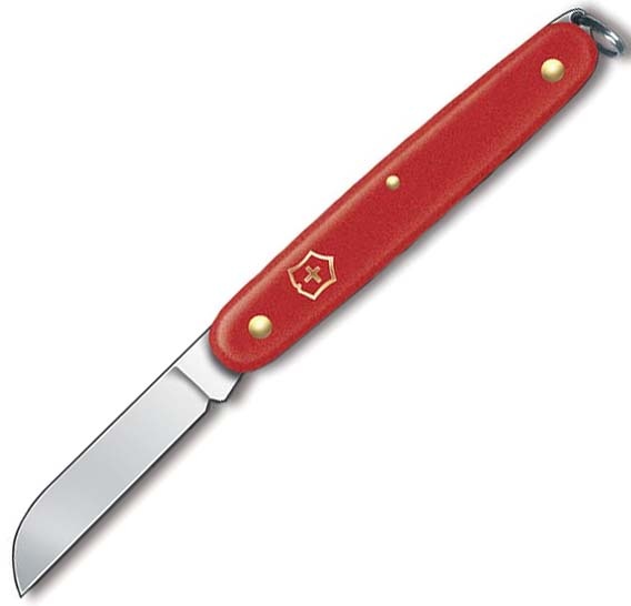   Victorinox EcoLine Floral, 155 , 1 , 